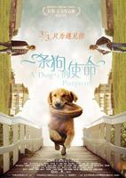 《一条狗的使命(国语版)》电影全集免费在线观看